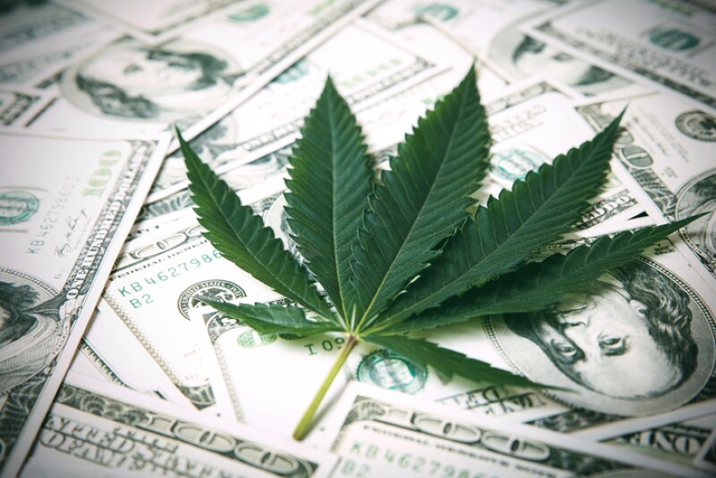 Cannabis millionaire estafa