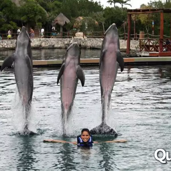 Ana Claudia Talancón rostro Delphinus