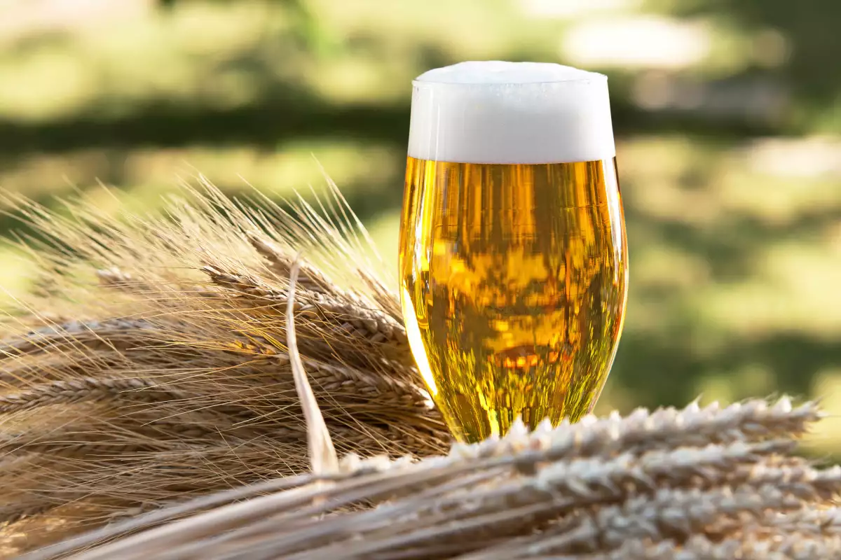 Cerveza