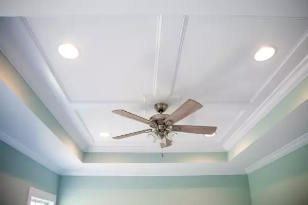 Ventilador de techo