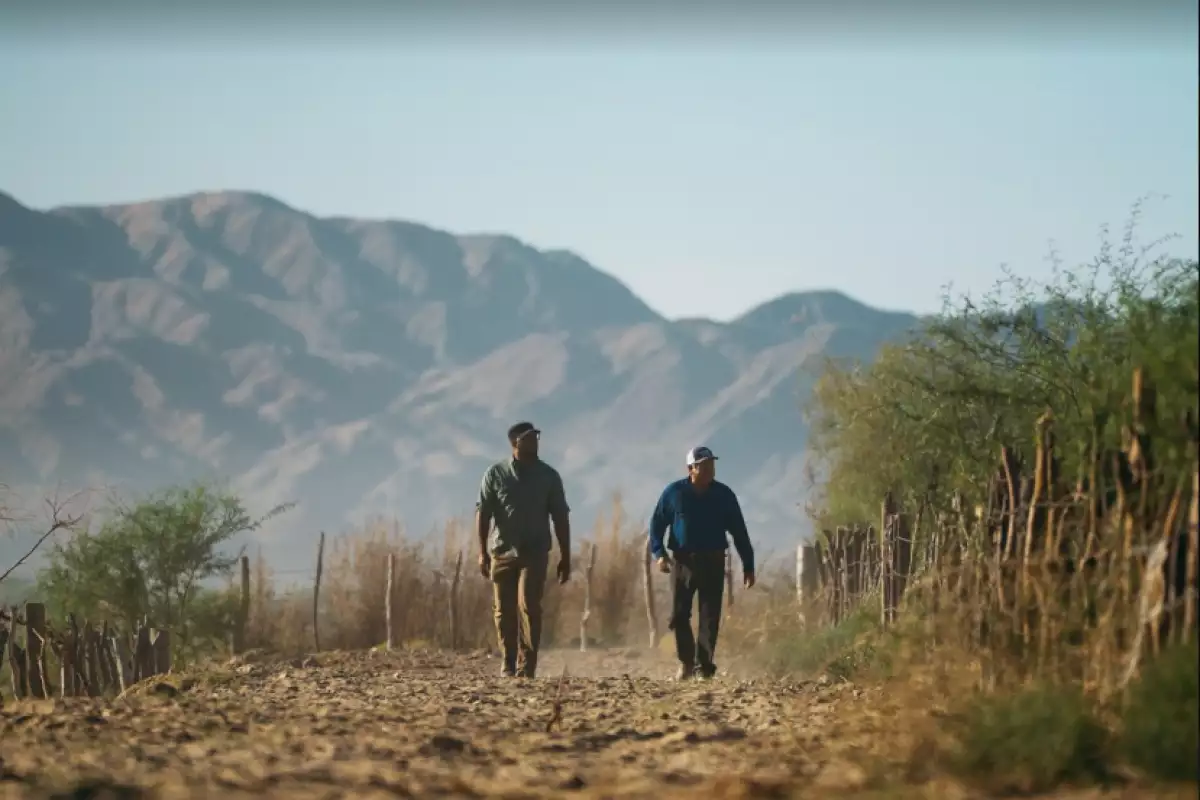 agricultura rio colorado.jpg