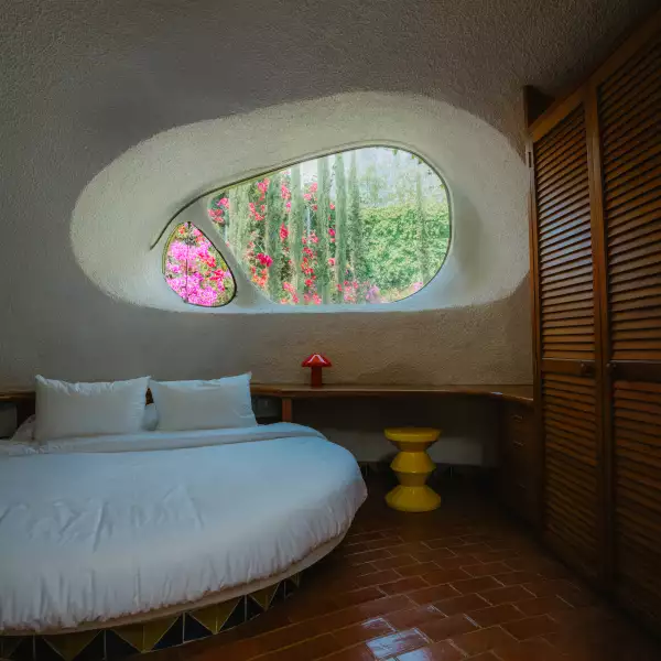 Conjunto-Satélite-Javier-Senosiain