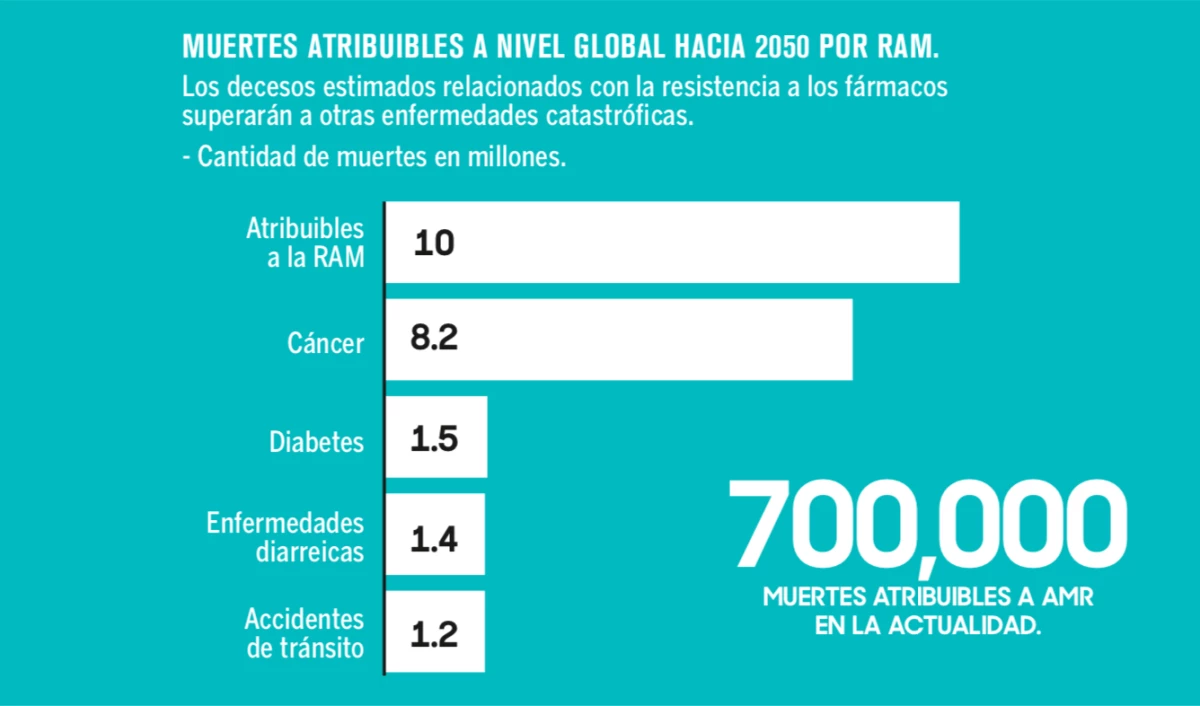 Las muertes relacionadas con la RAM se multiplicarán más de 10 veces hacia 2050, según una presentación de Marisa Caipo, de la FAO.