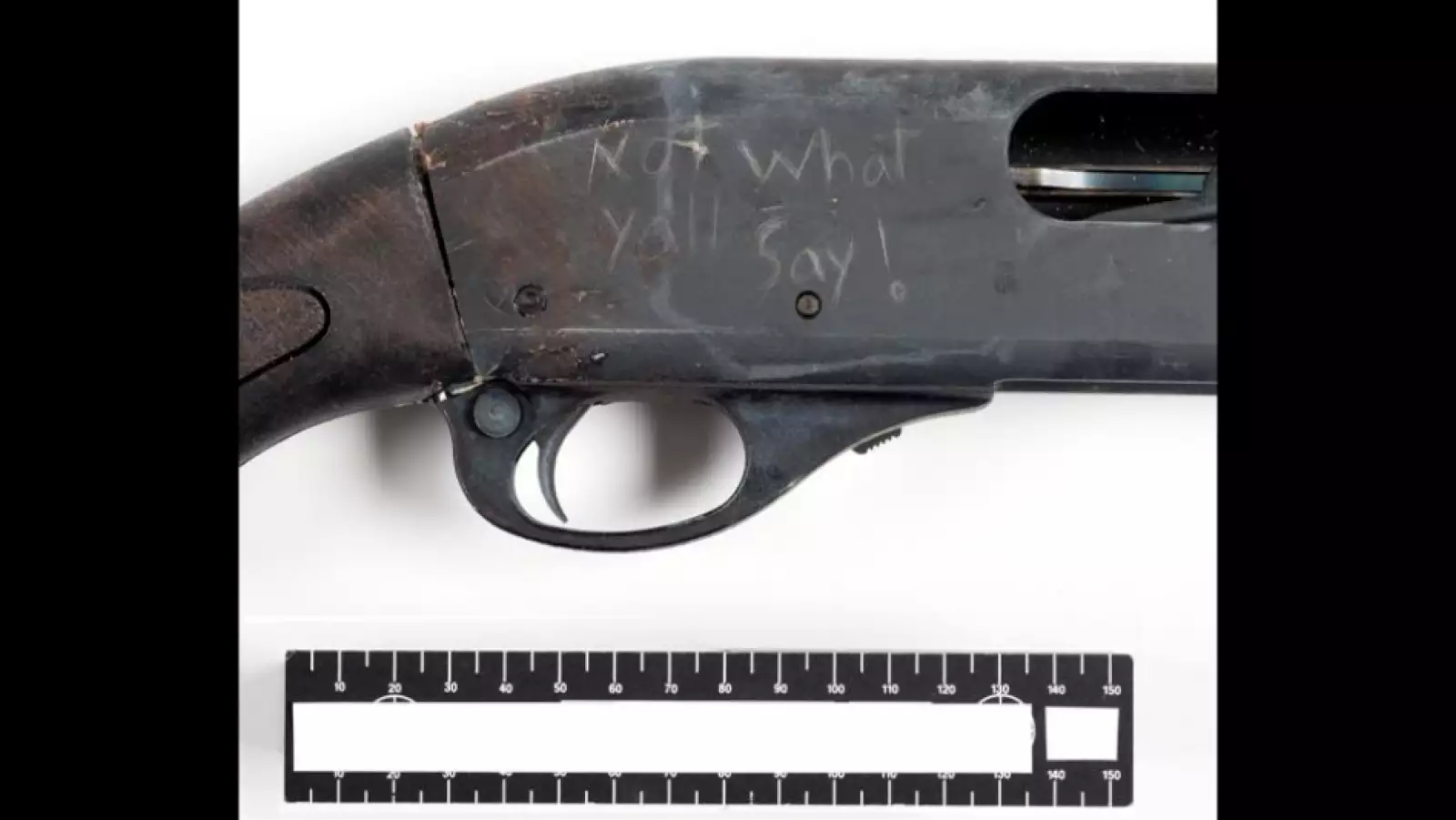 aaron alexis gun getty