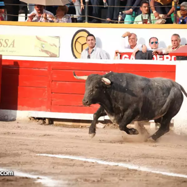 Feria de Puebla