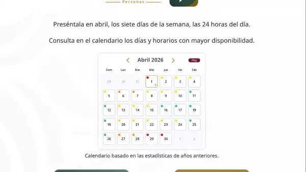 Cómo hacer la declaración anual 2025 paso a paso para cumplir con la obligación ante el SAT 