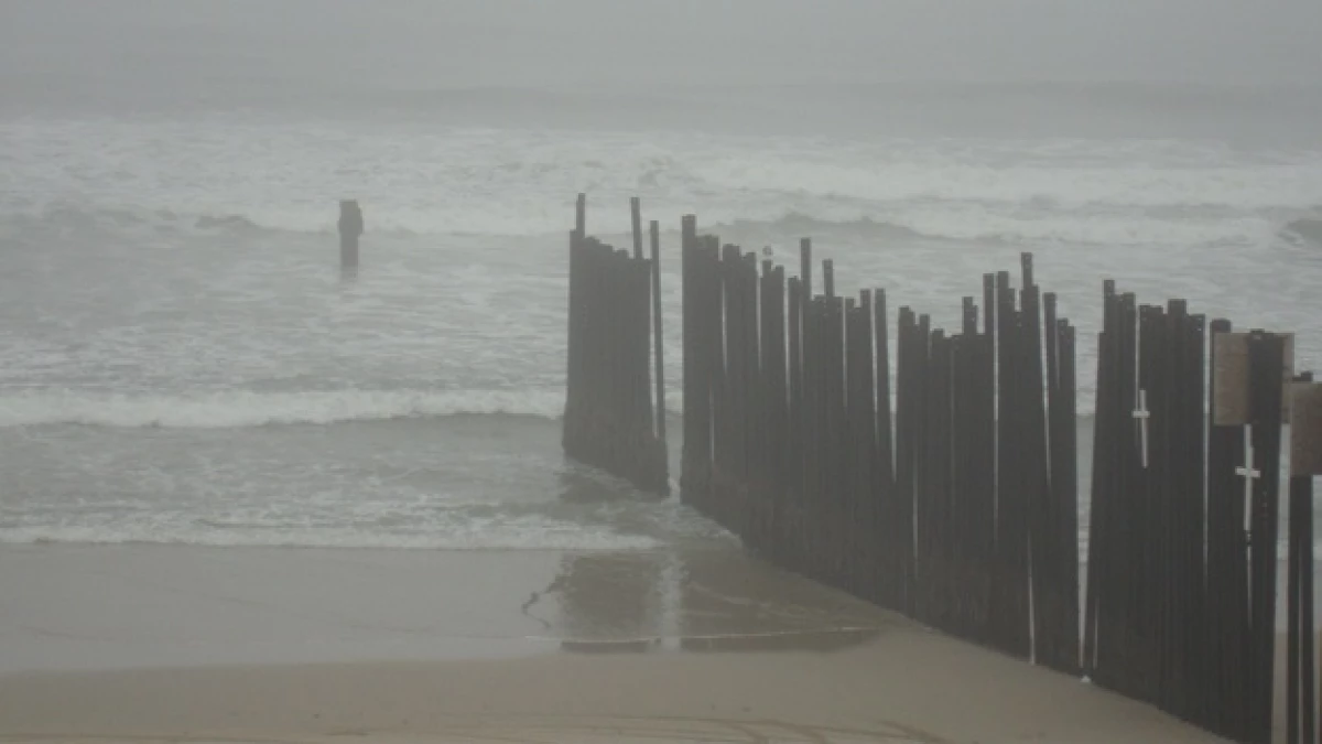 japon_ensenada