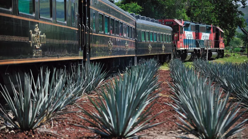 Conservación de la biodiversidad con