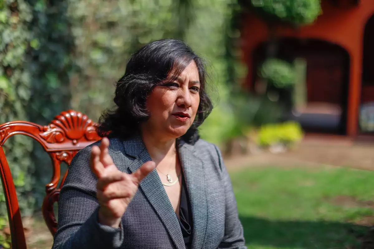 Irma Eréndira Sandoval