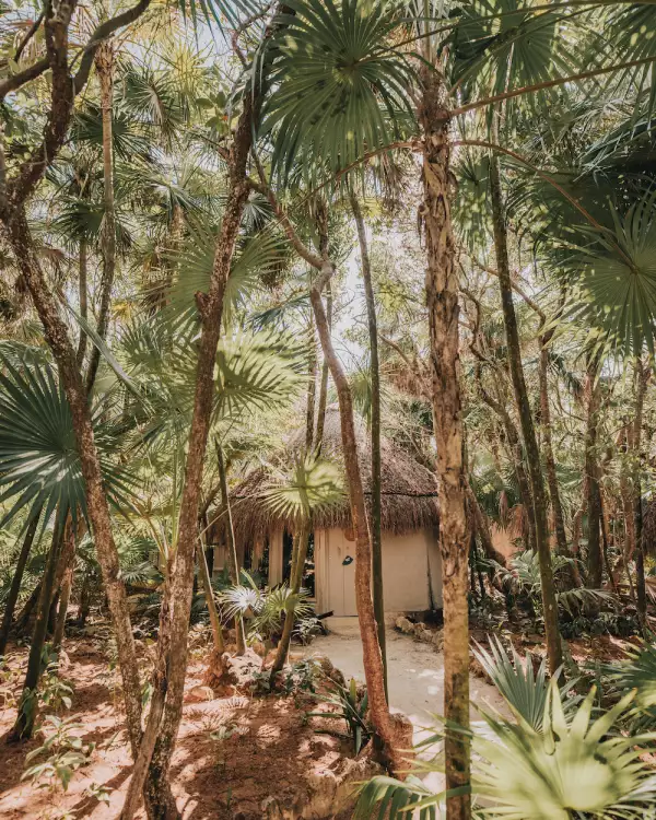 las-cabañas-papaya-playa-project.jpg