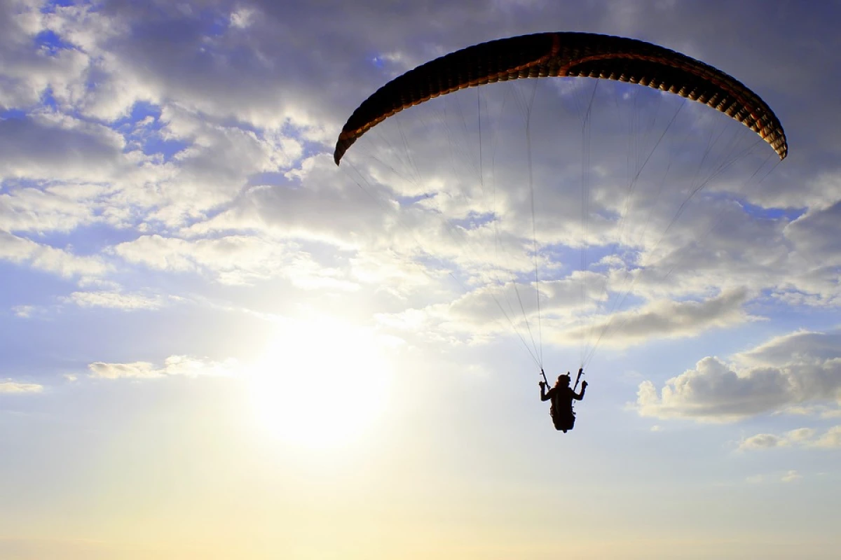 Vuelo