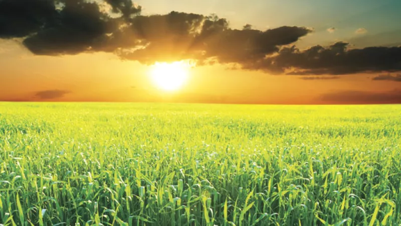 La inflación, tasas de interés y crecimiento global, son más importantes.