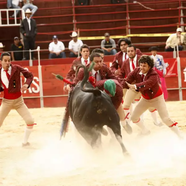 Peyrelonge poresentado por Scappino