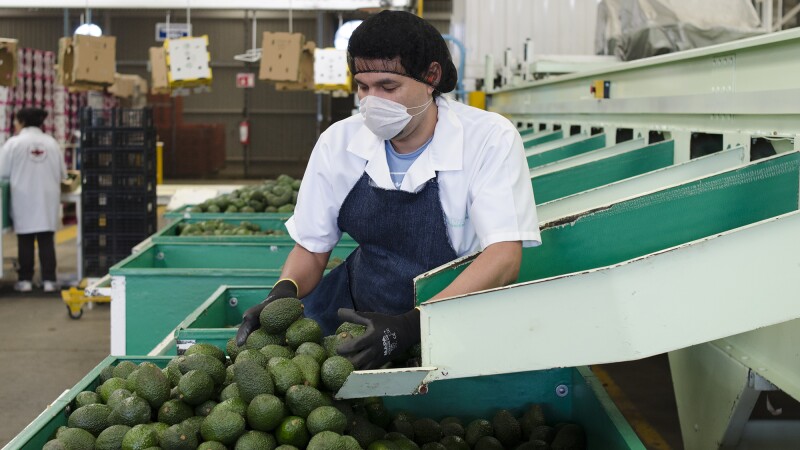 La producción que viene tendrá un impacto positivo en los precios al consumidor.