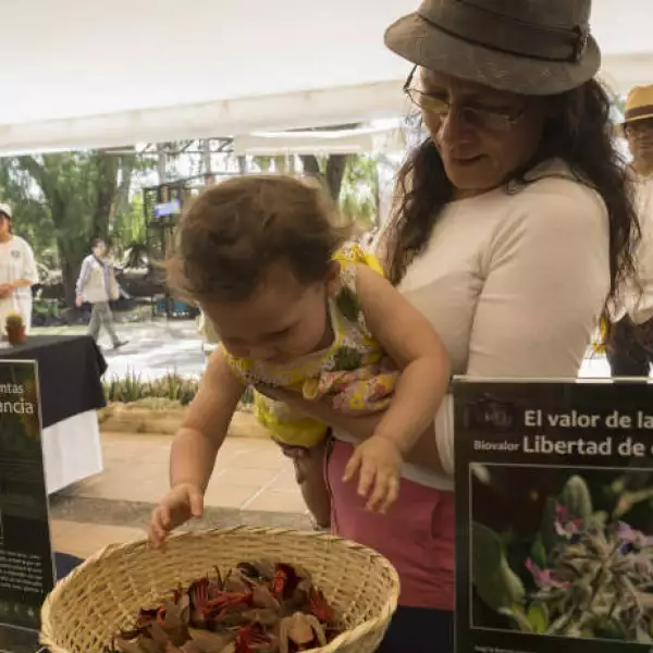 D�a Jard�n Bot�nico UNAM 5