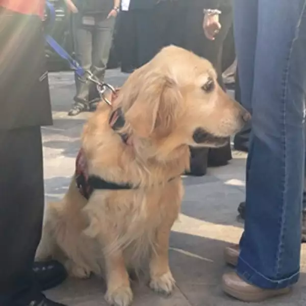 Pemex homenaje rescatistas