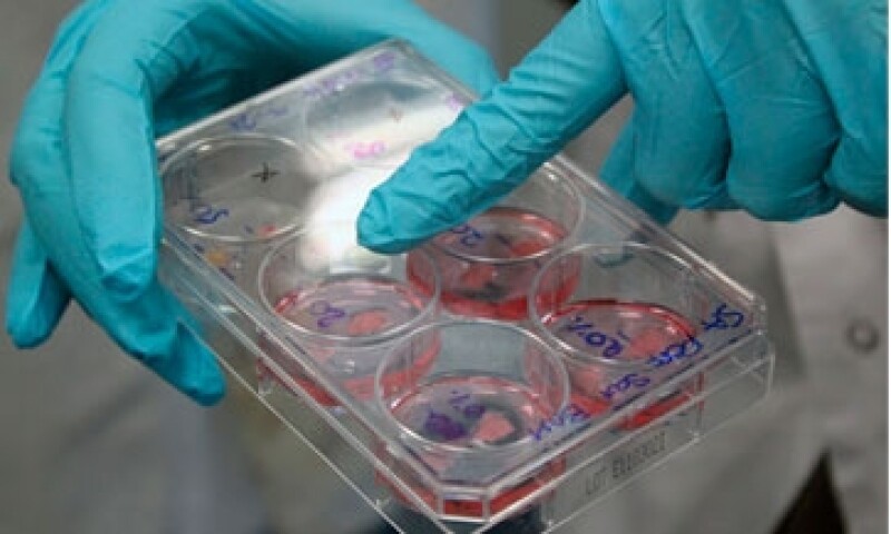 Ingeniero-biotecnolog�a02