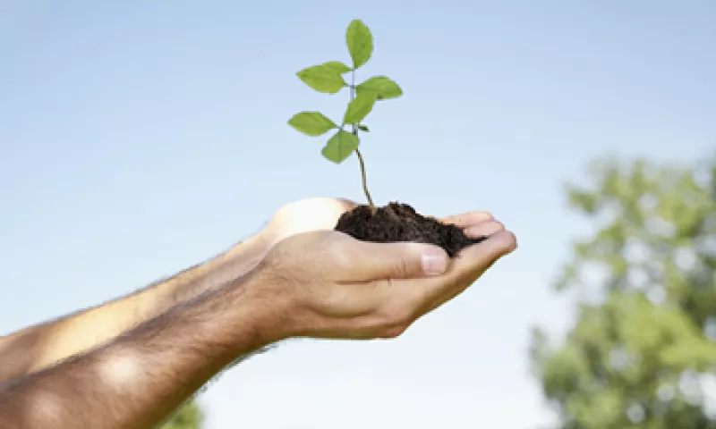 Los bancos y fondos de inversión  están buscando proyectos sustentables, que sean rentables en el largo plazo. (Foto: Getty Images)