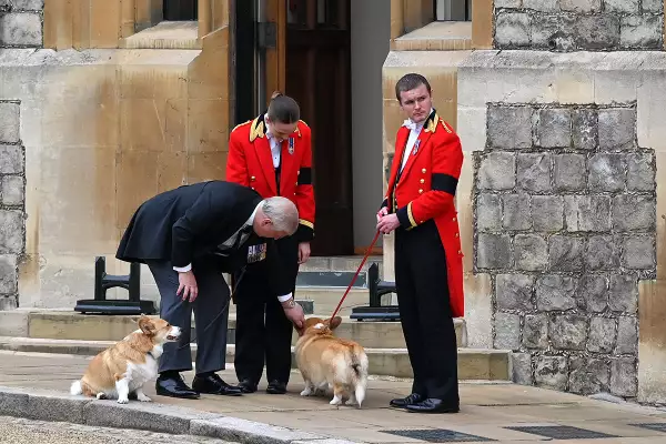 Sarah Ferguson quedó a cargo de los corgis de la reina Isabel II