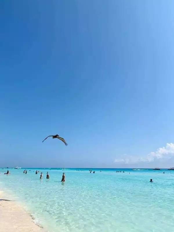 Cumbre WTTC Cancún 2.jpg