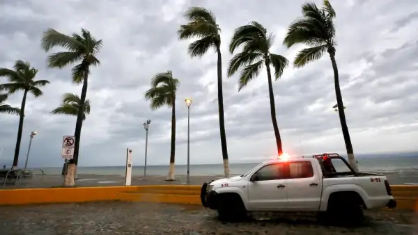 Viento de huracán sopla sobre palmeras junto a camioneta estacionada.