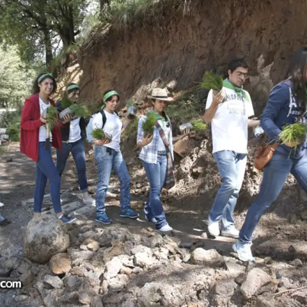 Reforestación Anáhuac-Volaris