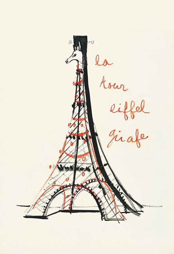 yves-saint-laurent-impossible-collection-assouline-laurence-benaim-3