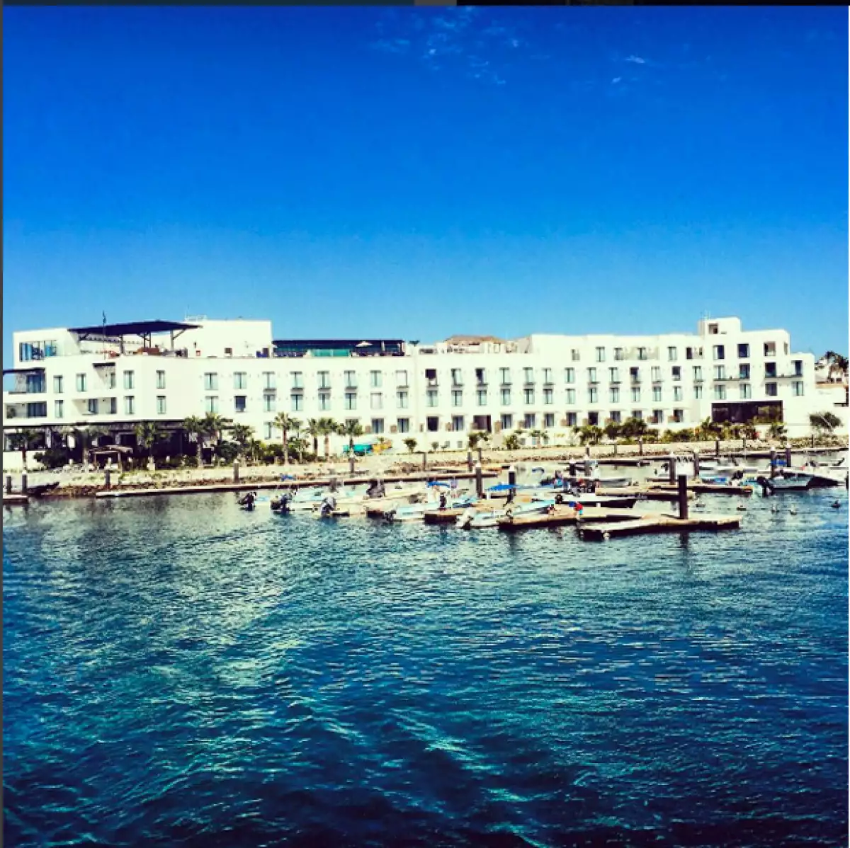¿Tienes ganas de salir de viaje pero no sabes a dónde ir?. Te presentamos este espectacular hotel ubicado en Cabo San Lucas.