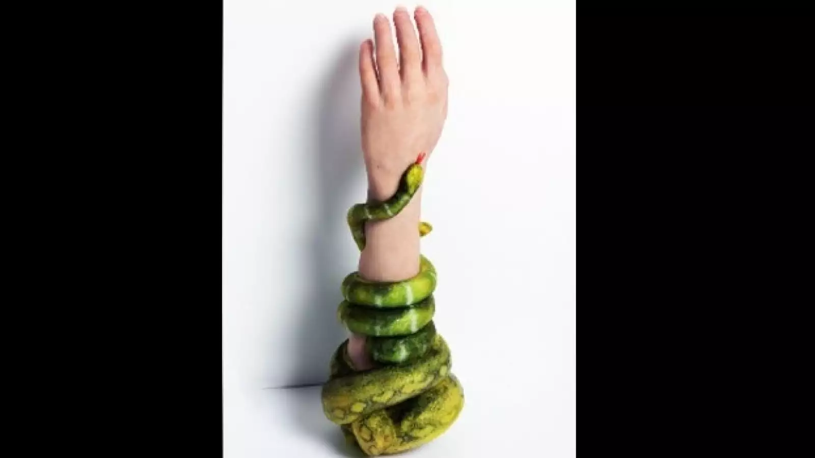 alternative-limb-project-10