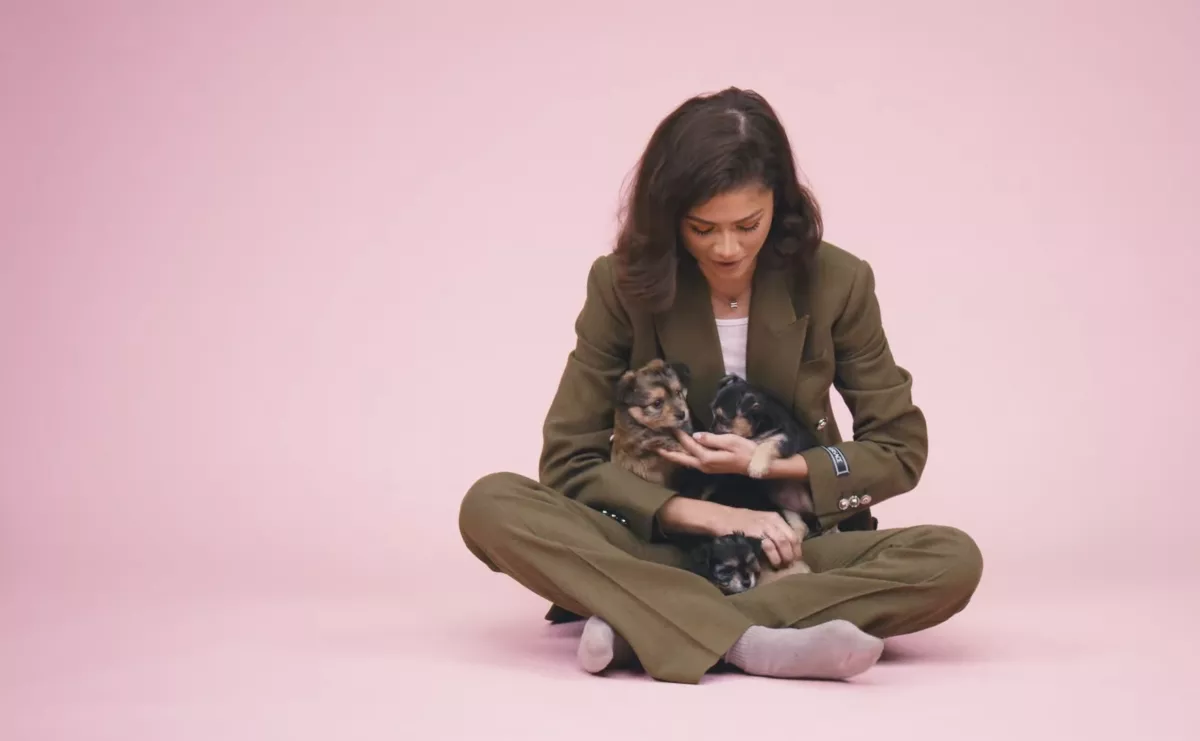 Zendaya habla sobre el carisma de Tom Holland. 