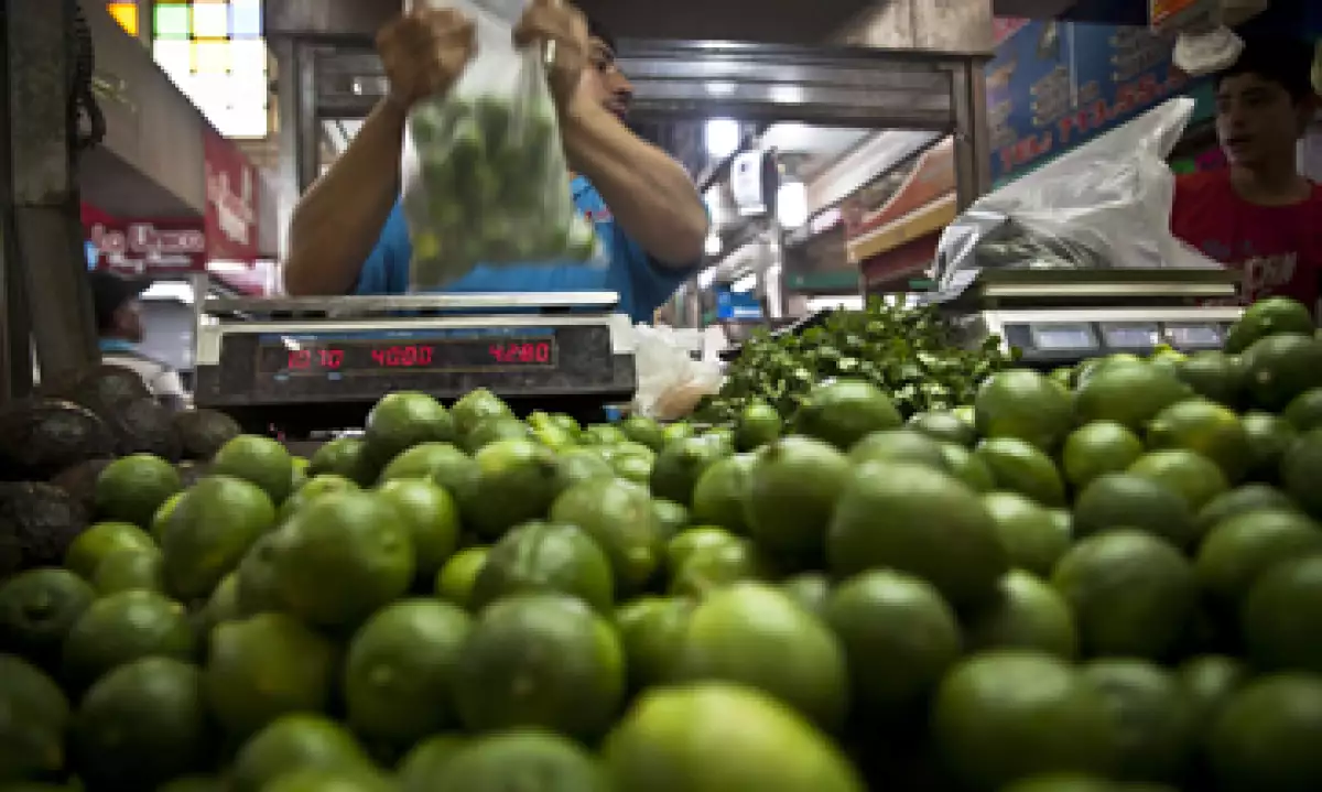 A finales de marzo, el limón acumulaba un aumento 161% respecto a igual mes de un año antes. (Foto: Cuartoscuro)