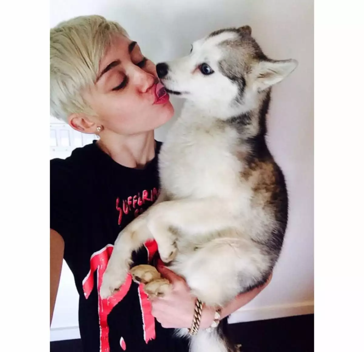 Miley no tuvo tiempo de despedirse de su mascota, y es que su perro murió cuando ella estaba de gira.