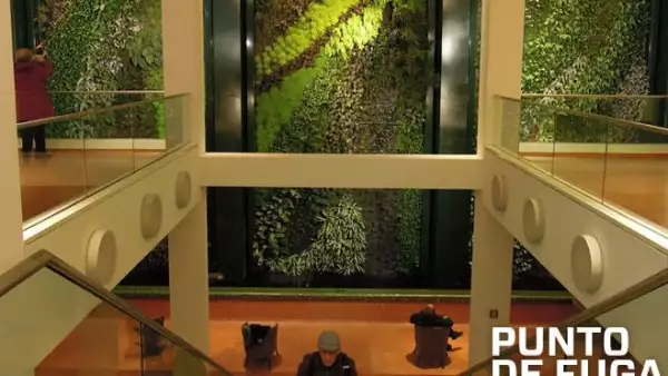 Muros verdes-portada
