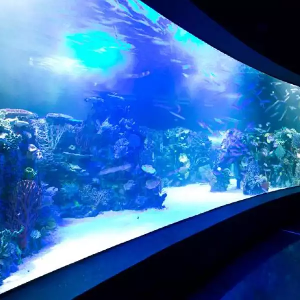 Aquarium 01