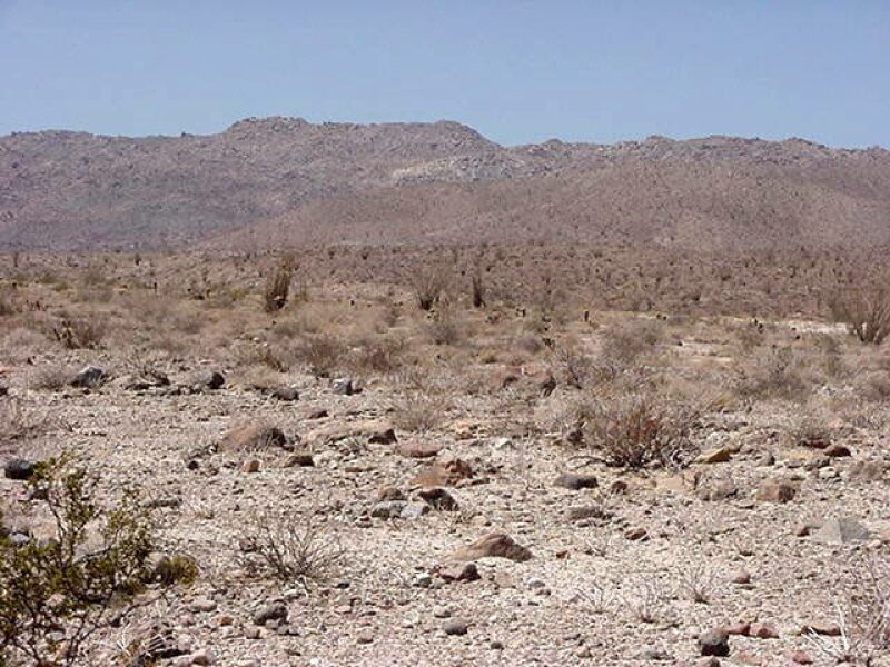 Desierto
