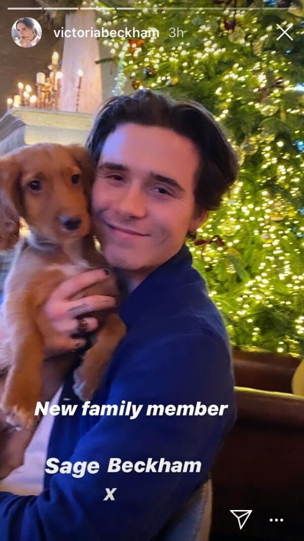 Brooklyn Beckham y Sage