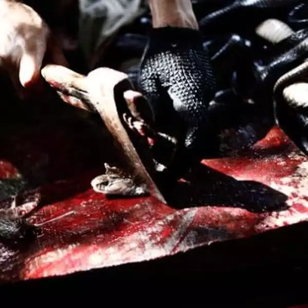 cobra descabezar carne platillos hamburguesa