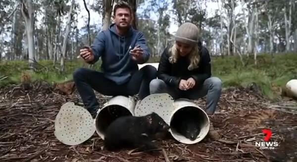 Chris Hemsworth y Elsa Pataky