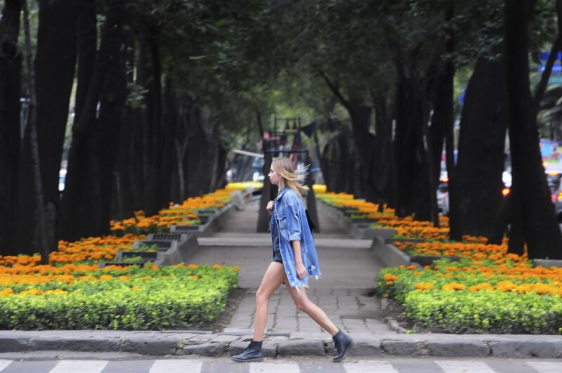 camellón Reforma