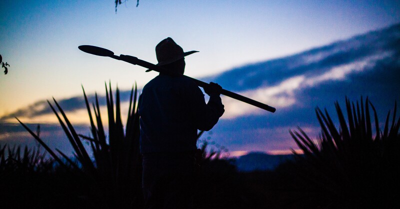 Tequila Herradura