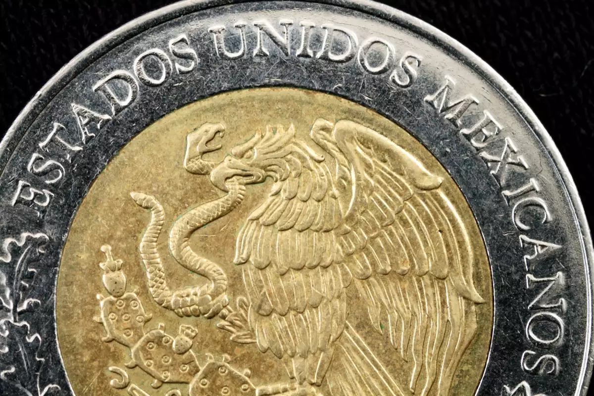 (Detalle de moneda de diez pesos)