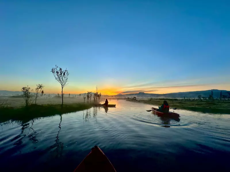 Kayaks-Xochimilco-CDMX.jpg