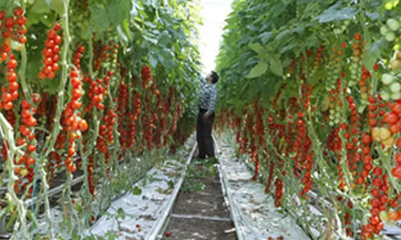 Un miembro británico del Parlamento europeo afirma que Francia debe tener cuidado de no dañar a empresas al buscar culpables precipitadamente. (Foto: Reuters)