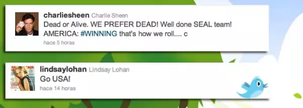 Charlie Sheen y Lindsay Lohan animaron la labor por la muerte del líder de Al Qaeda.