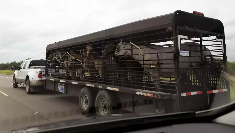 Evacuación