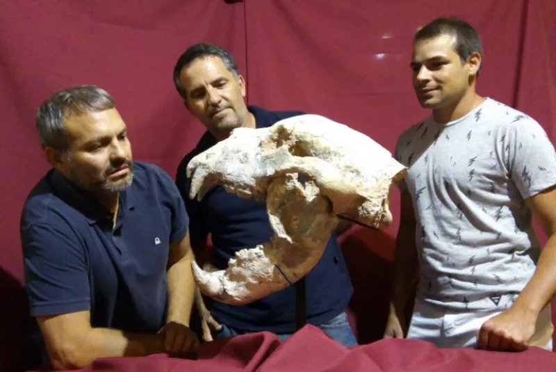 ARGENTINA-PALAEONTOLOGY-GIANT BEAR