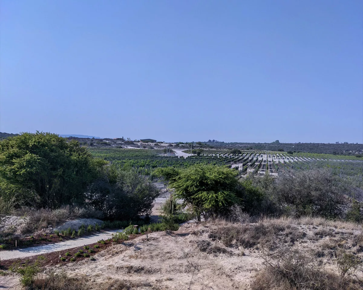 Glamping Viatura Omun en San Miguel de Allende 