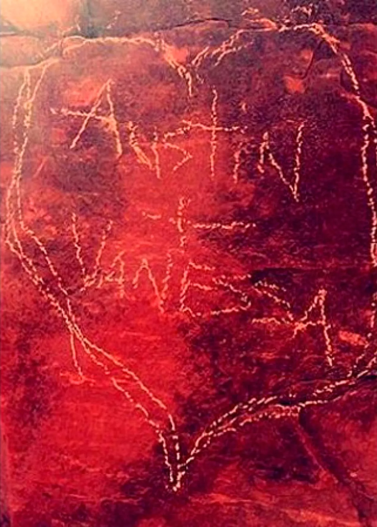 Esta imagen, que ya fue borrada de sus redes sociales, revela el daño hecho por la cantante y su novio.