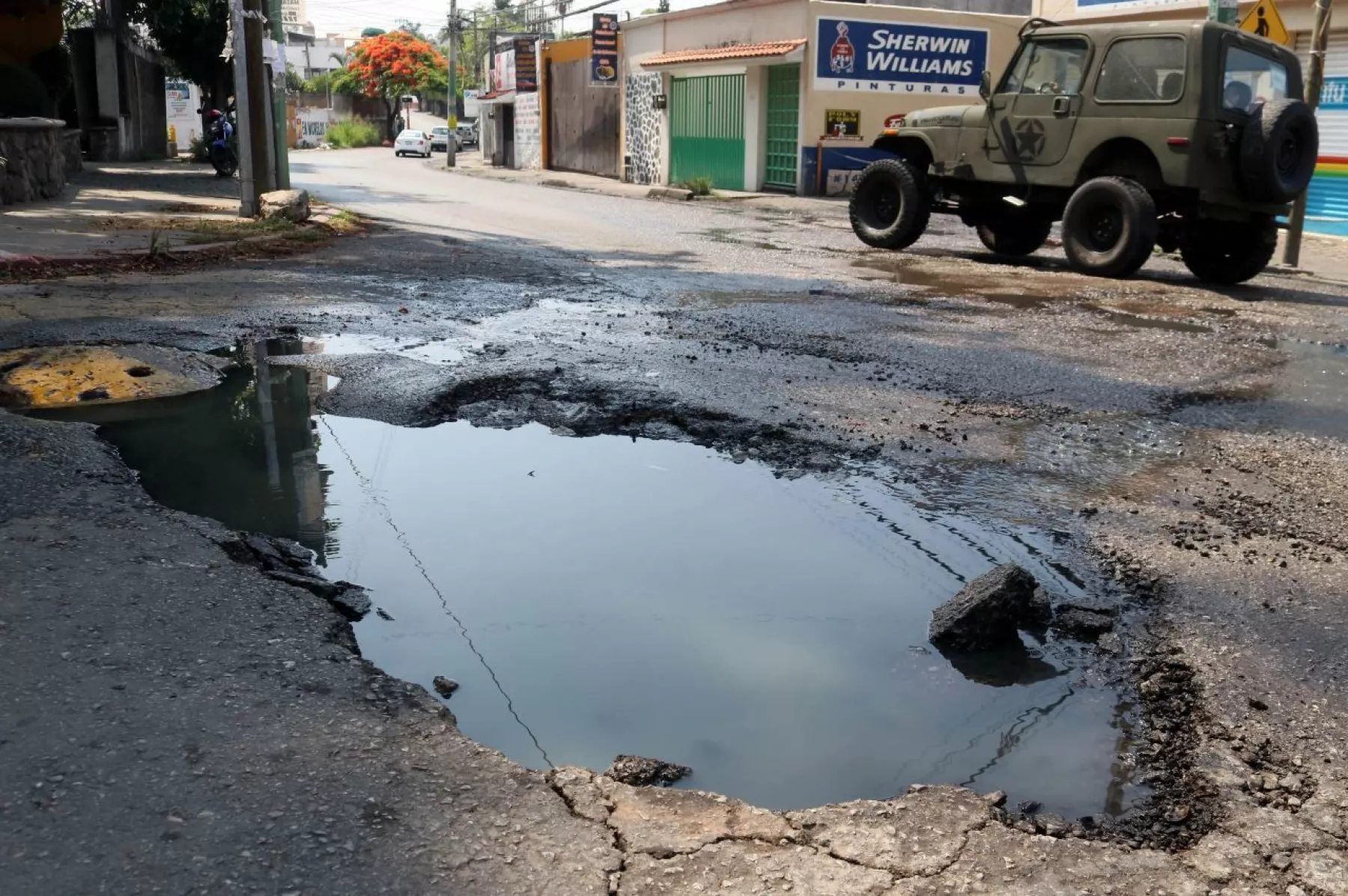 Baches