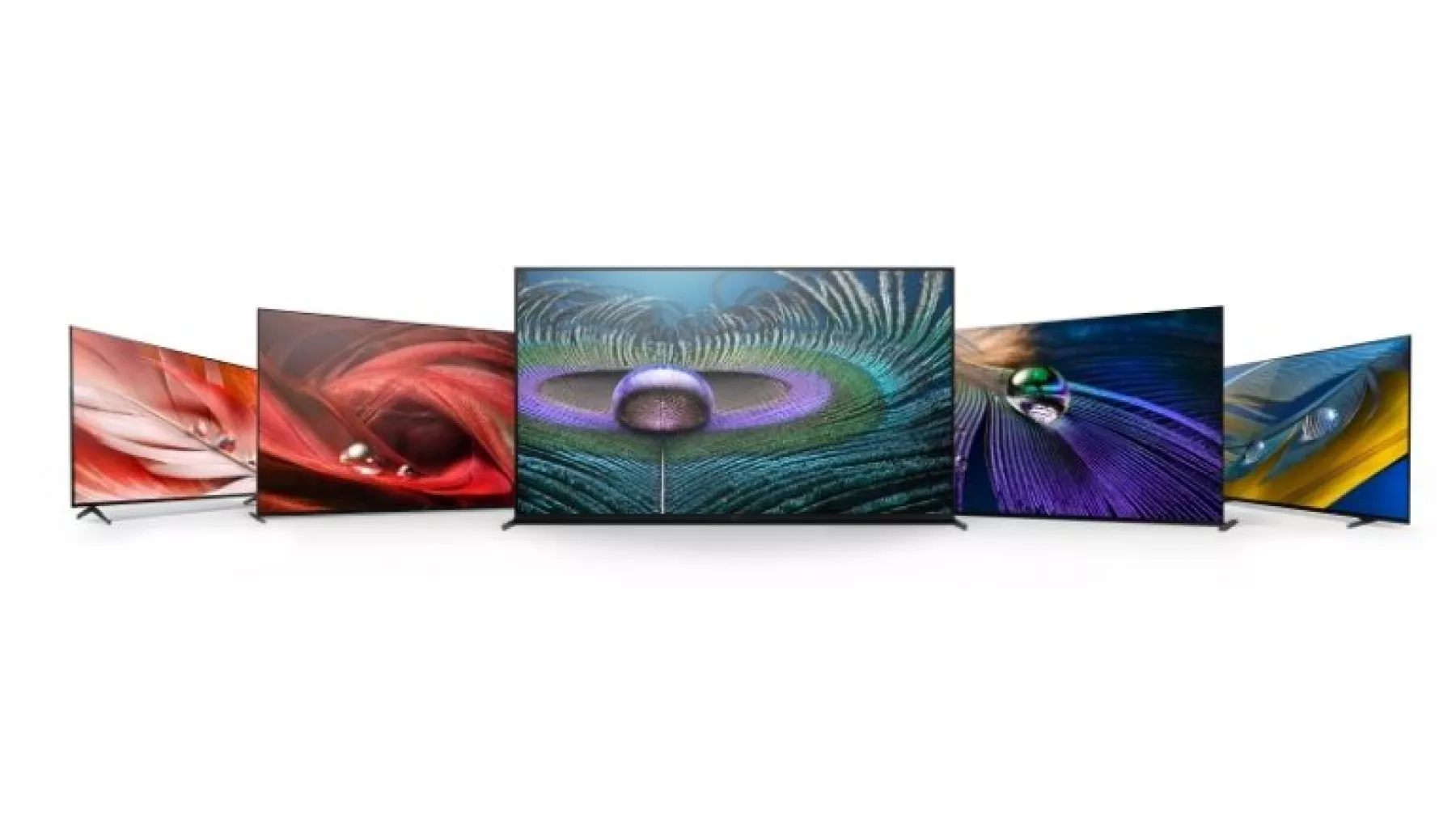 XR_Lineup_tv_only-768x432.jpg